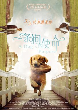 久久久天堂